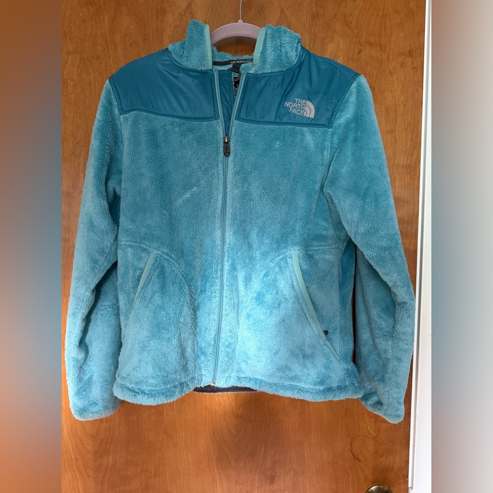 The North Face Kids Teal Fleece Jacket